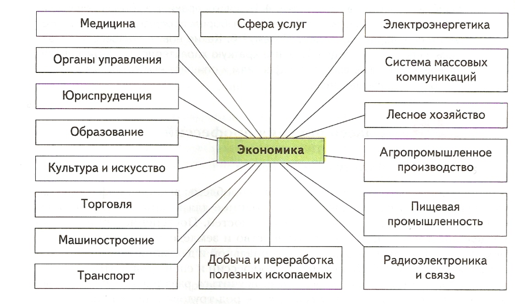 Схема отрасли экономики