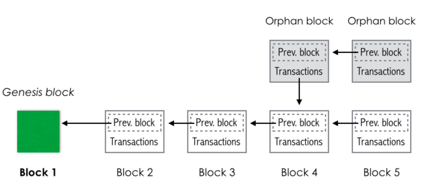 Genesis block. Genesis блок. Блокчейн хеширование. Genesis Block Bitcoin. Блок AHLS Генезис.