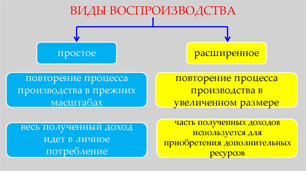 Виды воспроизводства