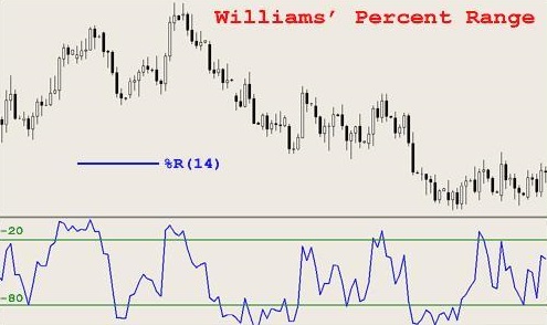 Процентный диапазон Уильямса