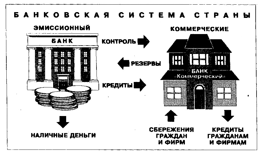 Банки: этапы становления банковской деятельности, виды банков, банковская система